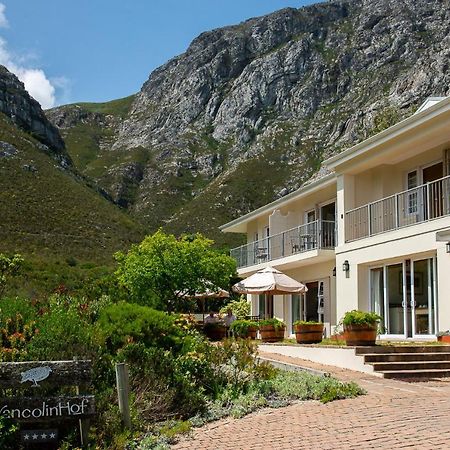 Francolinhof Guest House Hermanus Eksteriør billede